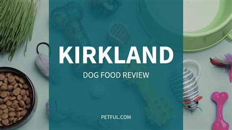 Is Kirkland Dog Food Good for Dogs? And Why Do Some Dogs Prefer It Over Steak?