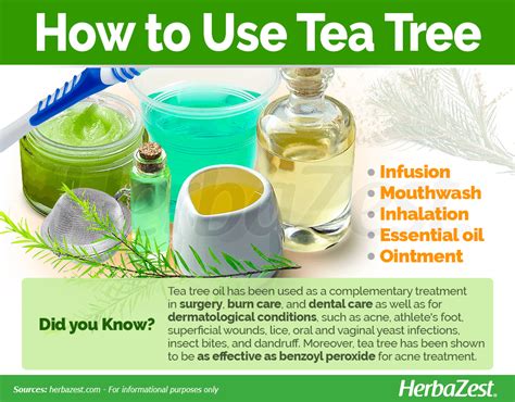 Tea Tree Para Que Sirve: Exploring the Multifaceted Uses of Tea Tree Oil