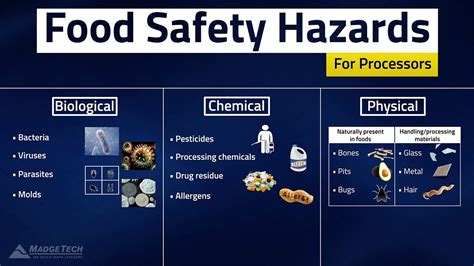 What is Biological Hazards in Food: A Journey Through the Microscopic Culprits