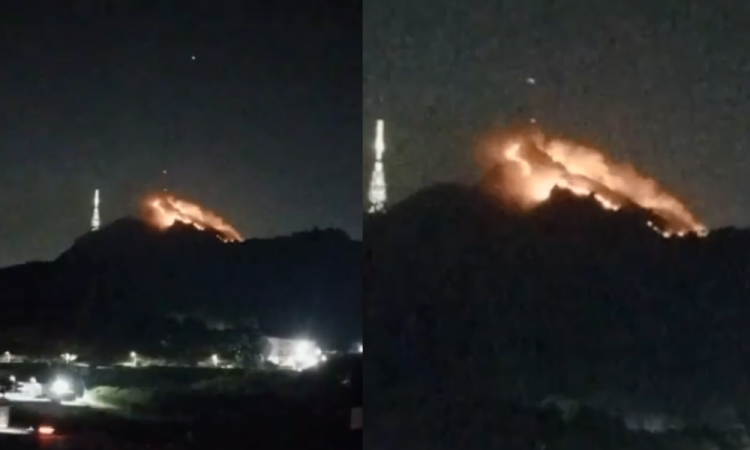 Incêndio destrói vegetação do Pico do Jaraguá, ponto mais alto de São Paulo